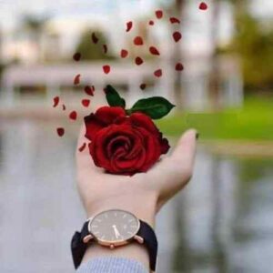 دانلود آهنگ ای شاخه پر گل قشنگم حسن شماعی زاده دانلود آهنگ ای شاخه پر گل قشنگم حسن شماعی زاده